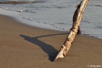 /album/%e5%a4%8f/a1-14-jpg/